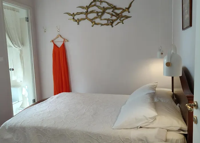 Mid Century Character House In アルゴストリオン